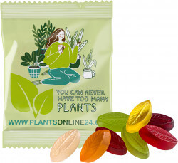 Gommes de fruits PERSONNALISÉES 20 g, VEGAN